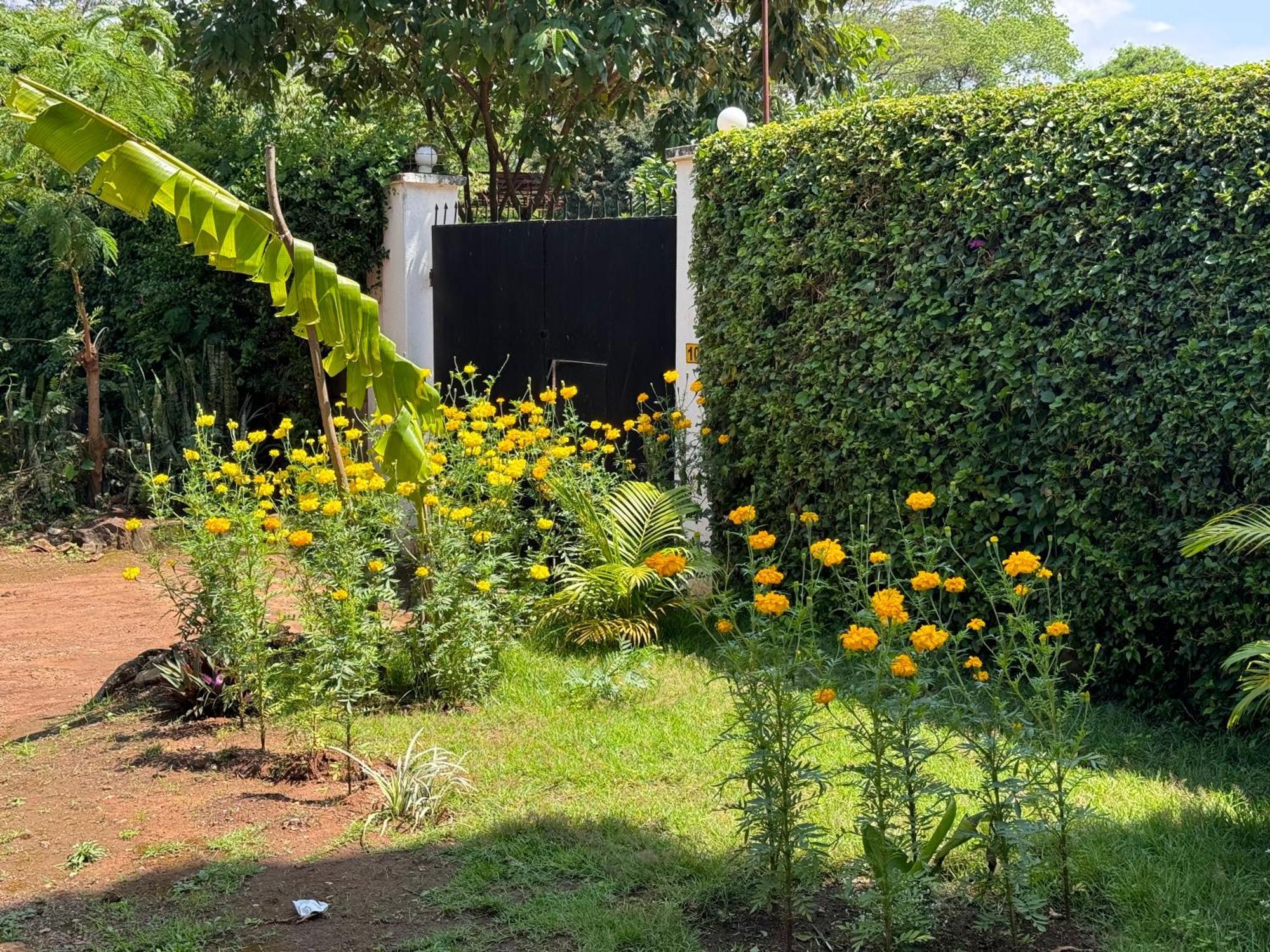 Karibu Africa Home Moshi Zewnętrze zdjęcie